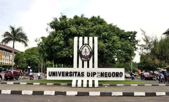 UNDIP