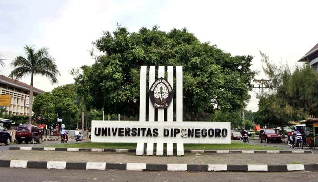 UNDIP